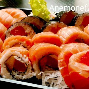Anemone Set (Zawilec)